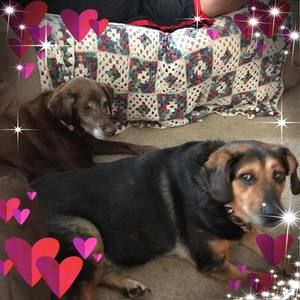 Meet your Posher, Sue